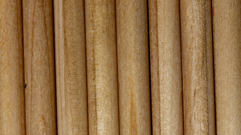 Bambusrohre verschiedener Durchmesser für Insektennisthilfen